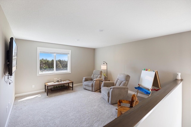 5360 Pine Island Rd, Woodbury, MN 55129 - sitting room with carpet floors and baseboards