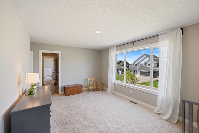 5360 Pine Island Rd, Woodbury, MN 55129 - living area with carpet floors, a textured ceiling, and baseboards