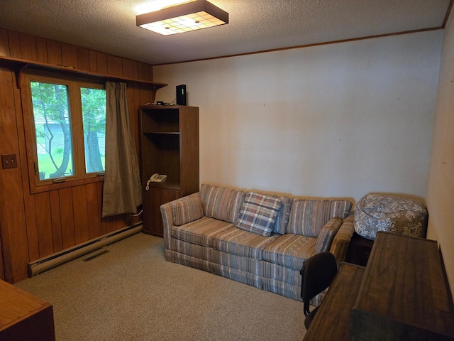 7002 Mulberry Ln NW, Shingobee Twp, MN 56484 - photo 29