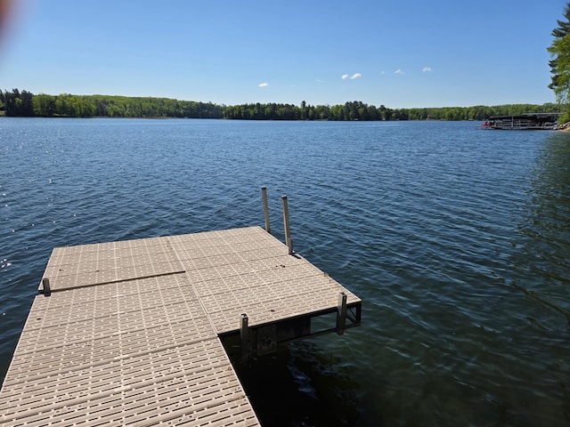 7002 Mulberry Ln NW, Shingobee Twp, MN 56484 - photo 8