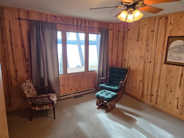 7002 Mulberry Ln NW, Shingobee Twp, MN 56484 - photo 30