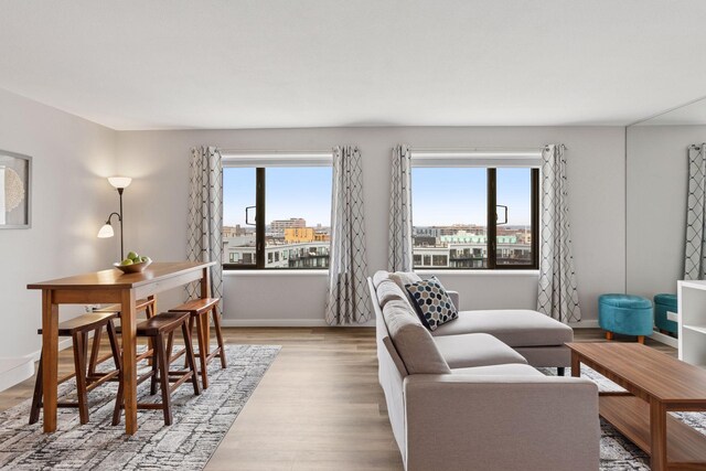 15 1st St Unit A1009, Minneapolis, MN 55401 - living room featuring light wood finished floors, baseboards, and plenty of natural light