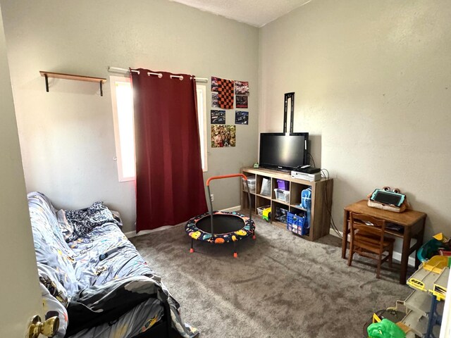 109 Rocket Dr, Badger, MN 56714 - view of carpeted bedroom