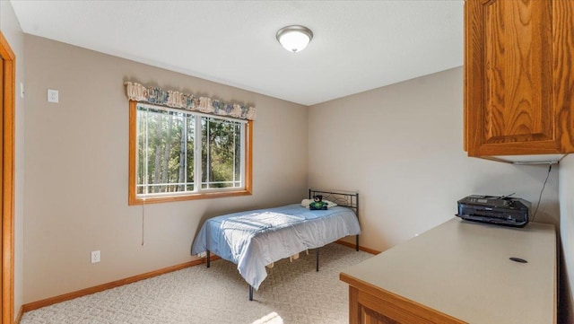 9112 Indigo Rd NW, Watab Twp, MN 56367 - bedroom featuring baseboards and light colored carpet
