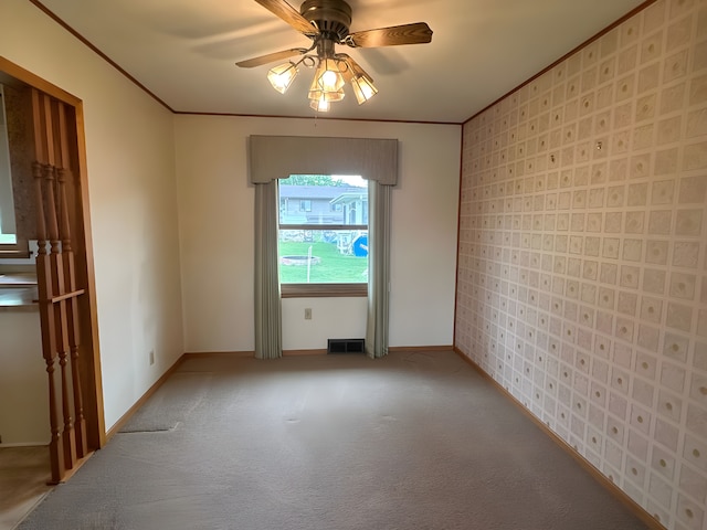 204 1st St, Welcome, MN 56181 - photo 11