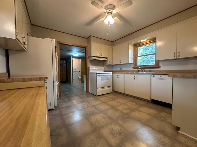 204 1st St, Welcome, MN 56181 - photo 13