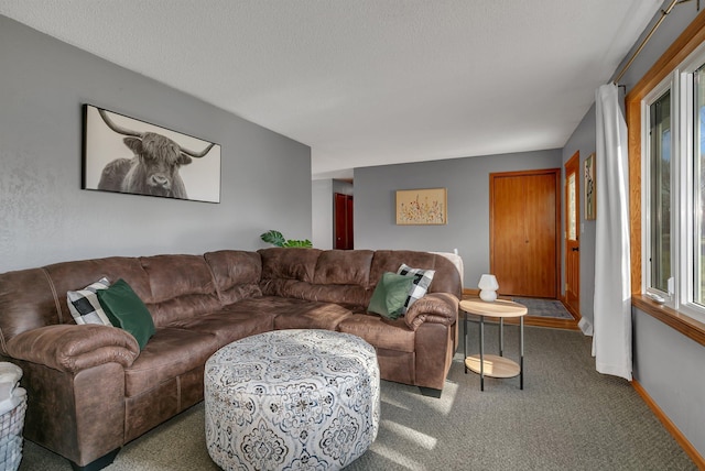 330 8th St E, Hector, MN 55342 - photo 7