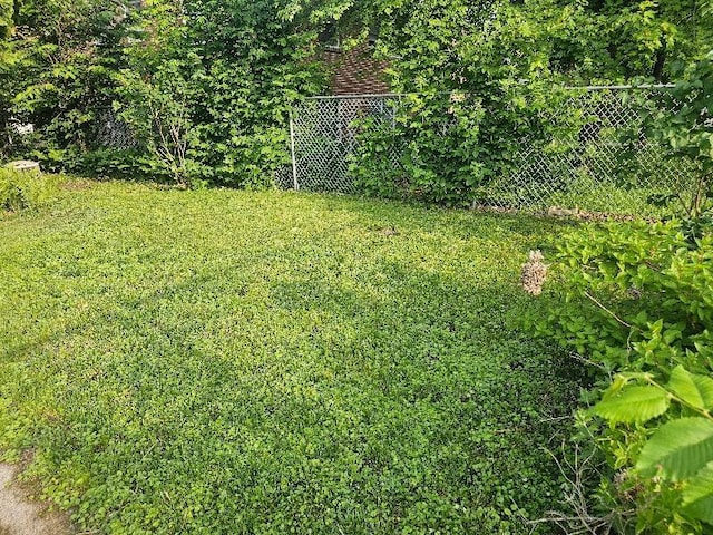 4517 4th Ave S, Minneapolis, MN 55419 - view of yard