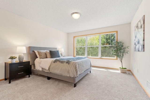 12172 Waconia St NE Unit C, Blaine, MN 55449 - bedroom with carpet flooring, baseboards, and a textured ceiling