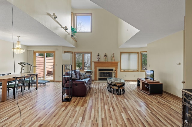 10695 53rd Ave N, Plymouth, MN 55442 - living area with light wood finished floors, plenty of natural light, a glass covered fireplace, baseboards, and a high ceiling