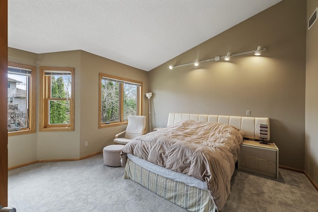 10695 53rd Ave N, Plymouth, MN 55442 - carpeted bedroom with vaulted ceiling and baseboards