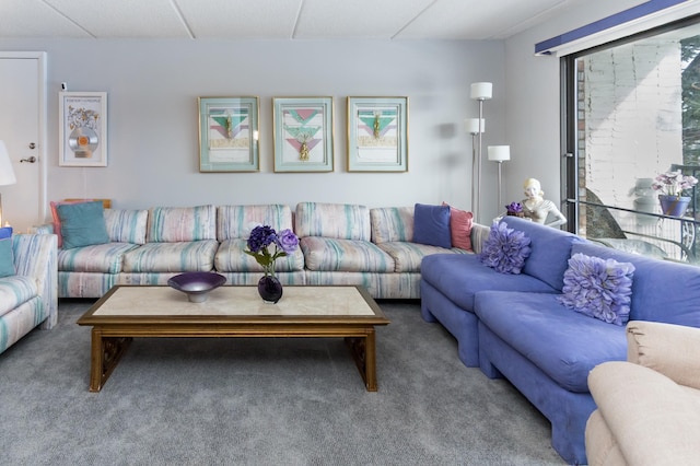 10411 Cedar Lake Rd Unit 301, Minnetonka, MN 55305 - living room featuring carpet flooring