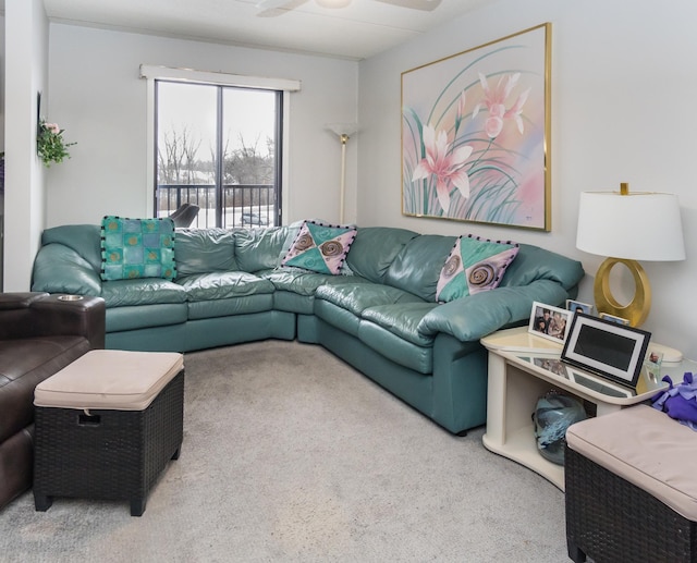 10411 Cedar Lake Rd Unit 301, Minnetonka, MN 55305 - living room with carpet and a ceiling fan