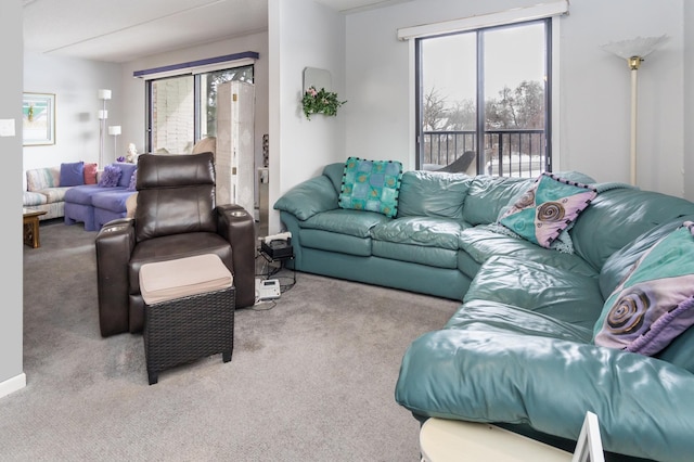 10411 Cedar Lake Rd Unit 301, Minnetonka, MN 55305 - view of carpeted living room