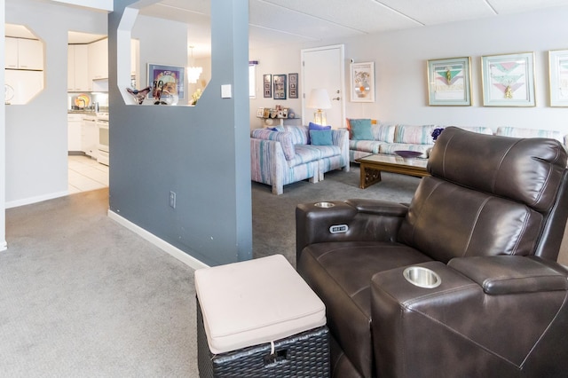 10411 Cedar Lake Rd Unit 301, Minnetonka, MN 55305 - living room featuring light carpet and baseboards