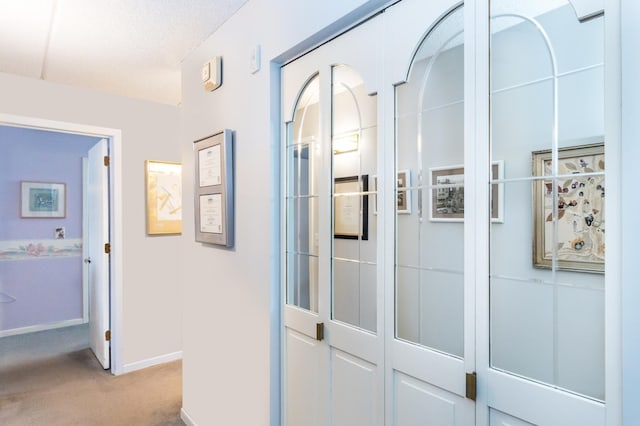 10411 Cedar Lake Rd Unit 301, Minnetonka, MN 55305 - corridor featuring baseboards and light colored carpet