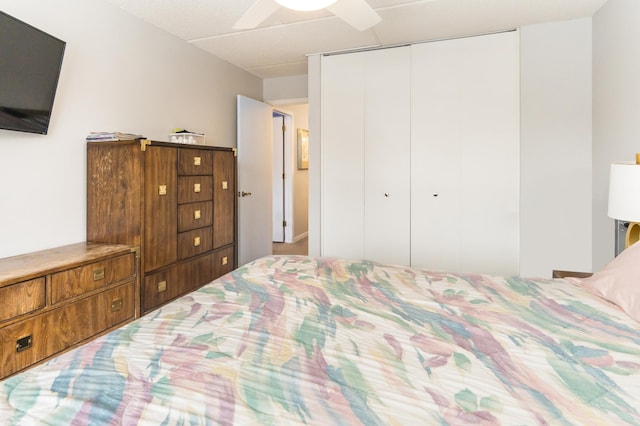 10411 Cedar Lake Rd Unit 301, Minnetonka, MN 55305 - bedroom with a closet and ceiling fan