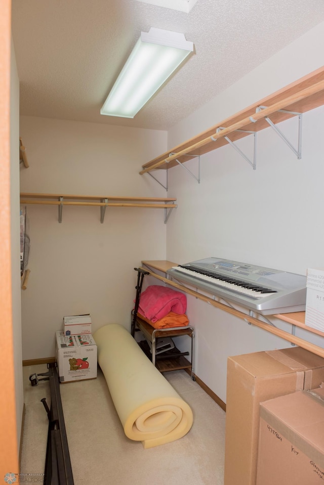3220 40th Ave S Unit D, Fargo, ND 58104 - view of spacious closet