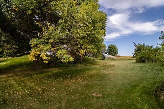 20206 Monks Ave, Mankato, MN 56001 - view of grassy yard
