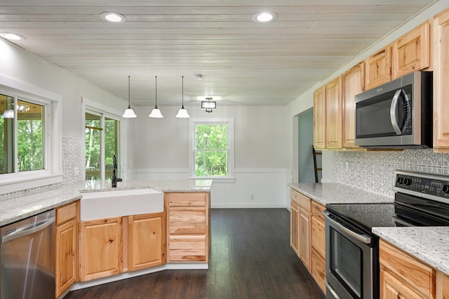 24182 184th St NW, Orrock Twp, MN 55309 - kitchen with appliances with stainless steel finishes, a sink, wainscoting, dark wood-style flooring, and light stone counters