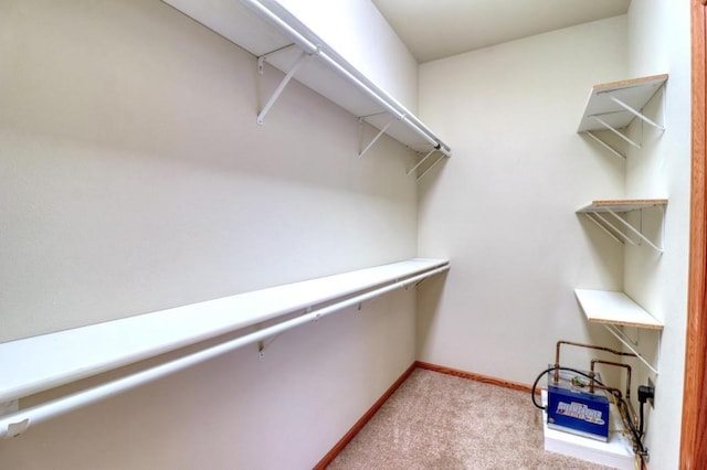 walk in closet with light colored carpet