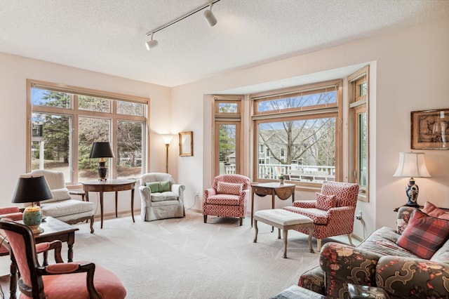 carpeted living room with rail lighting, plenty of natural light, and a textured ceiling