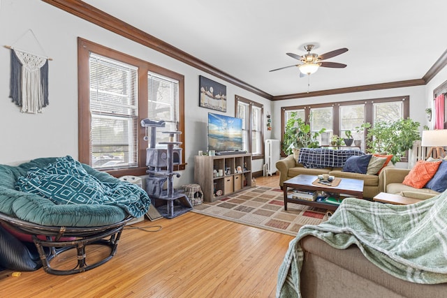 382 Fry St, Saint Paul, MN 55104 - living area featuring crown molding, wood finished floors, a ceiling fan, and healthy amount of natural light