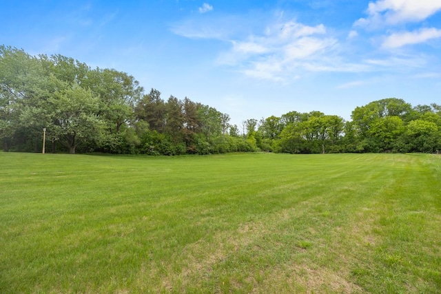 2591 Carver Ave E, Maplewood, MN 55119 - view of green lawn