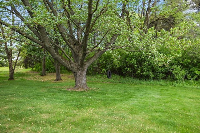 2591 Carver Ave E, Maplewood, MN 55119 - view of grassy yard