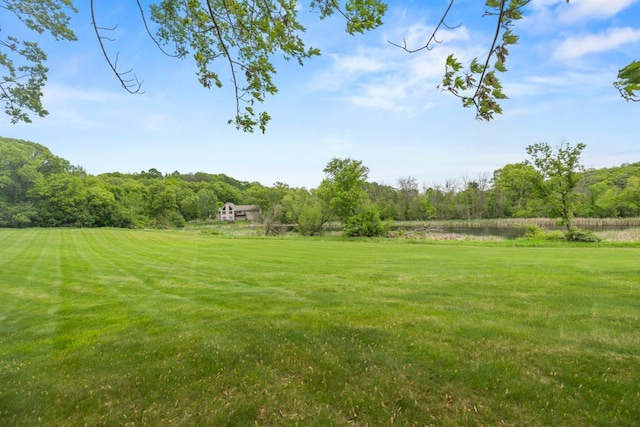 2591 Carver Ave E, Maplewood, MN 55119 - view of grassy yard featuring a water view and a forest view