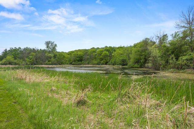 2591 Carver Ave E, Maplewood, MN 55119 - view of woods featuring a water view