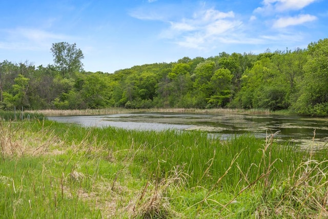 2591 Carver Ave E, Maplewood, MN 55119 - water view with a forest