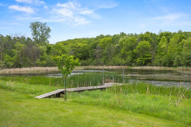 2591 Carver Ave E, Maplewood, MN 55119 - view of yard featuring a wooded view, a boat dock, and a water view