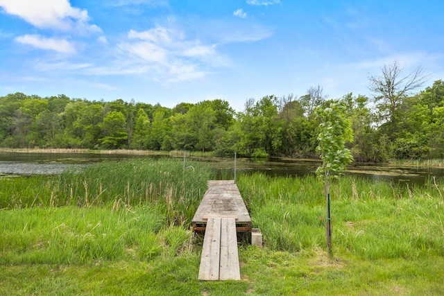 2591 Carver Ave E, Maplewood, MN 55119 - dock featuring a wooded view and a water view