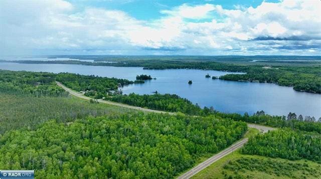 TBD Fectos Rd, Tower, MN 55790 - photo 3