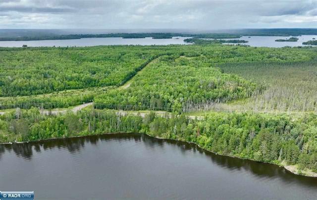 TBD Fectos Rd, Tower, MN 55790 - photo 4