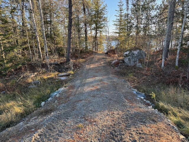 TBD Fectos Rd, Tower, MN 55790 - photo 5