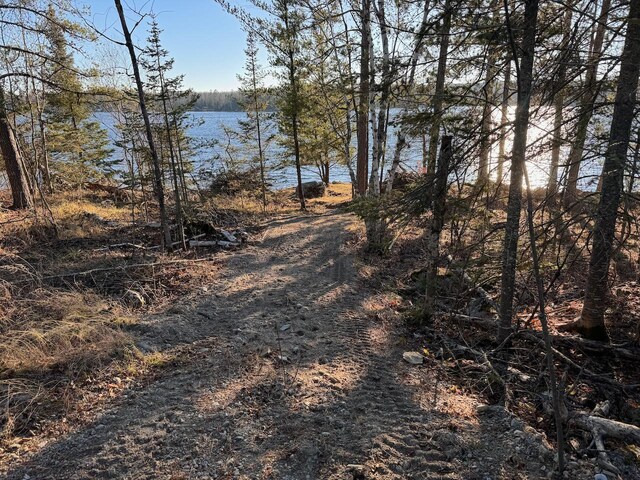 TBD Fectos Rd, Tower, MN 55790 - photo 6