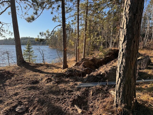 TBD Fectos Rd, Tower, MN 55790 - photo 7