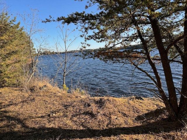 TBD Fectos Rd, Tower, MN 55790 - photo 8