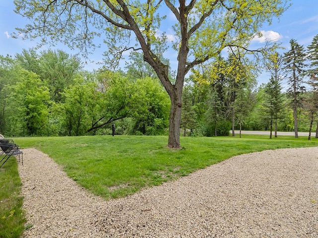 2595 Carver Ave E, Maplewood, MN 55119 - view of grassy yard