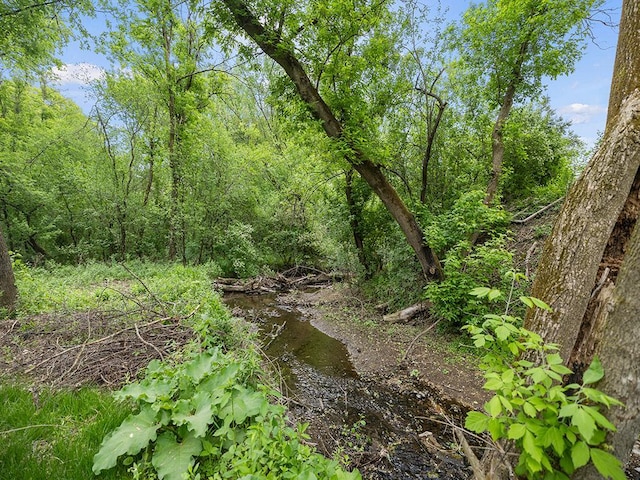 2595 Carver Ave E, Maplewood, MN 55119 - view of local wilderness