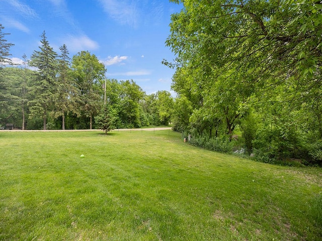 2595 Carver Ave E, Maplewood, MN 55119 - view of green lawn with a wooded view