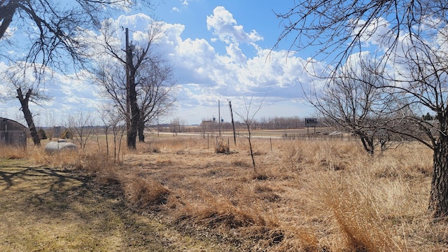 view of yard with a rural view