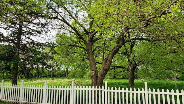 3100 380th St, Cottonwood, MN 56229 - view of yard