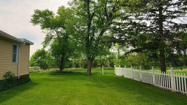 3100 380th St, Cottonwood, MN 56229 - view of yard