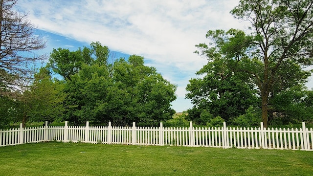 3100 380th St, Cottonwood, MN 56229 - view of yard