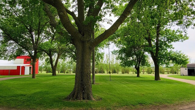 3100 380th St, Cottonwood, MN 56229 - view of green lawn featuring an outbuilding and an outdoor structure