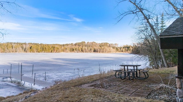 45570 Star Lake Rd, Marcell, MN 56657 - view of yard with a wooded view