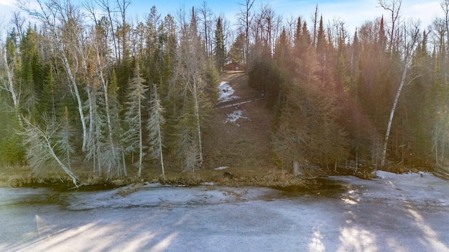 45570 Star Lake Rd, Marcell, MN 56657 - view of nature with a wooded view